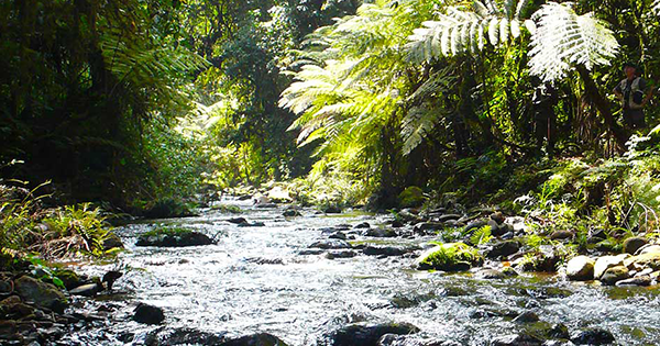 Poľovnícka sezóna sa začala a poľovníci majú plné ruky práce