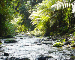 Poľovnícka sezóna sa začala a poľovníci majú plné ruky práce